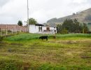 dsc03930