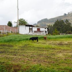 dsc03930
